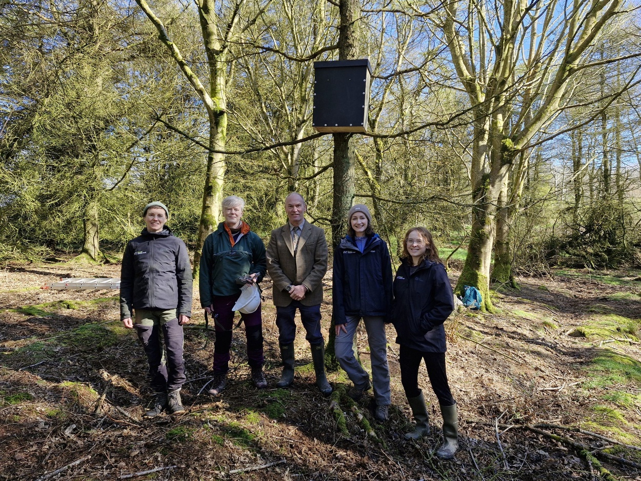 Den Box Vincent Wildlife Trust | Learning how to install pine…