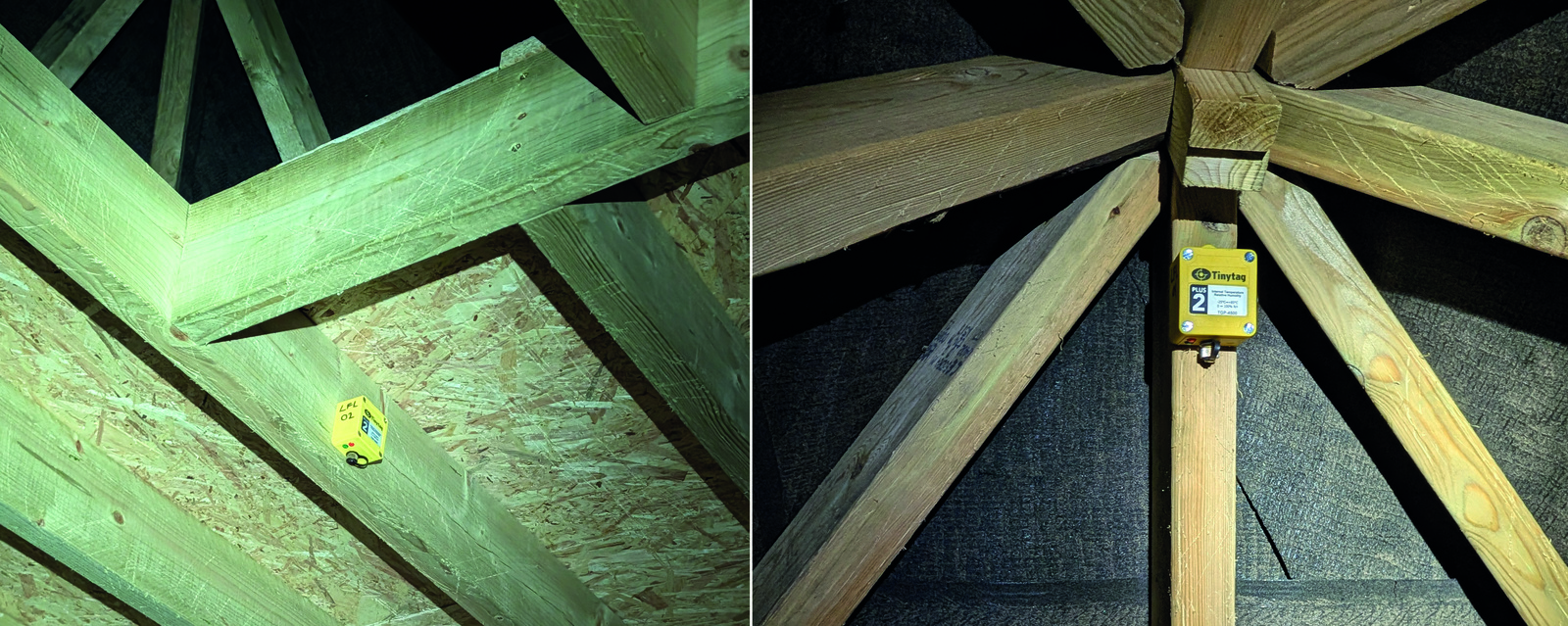Vincent Wildlife Trust | First bat tower built for VWT’s…