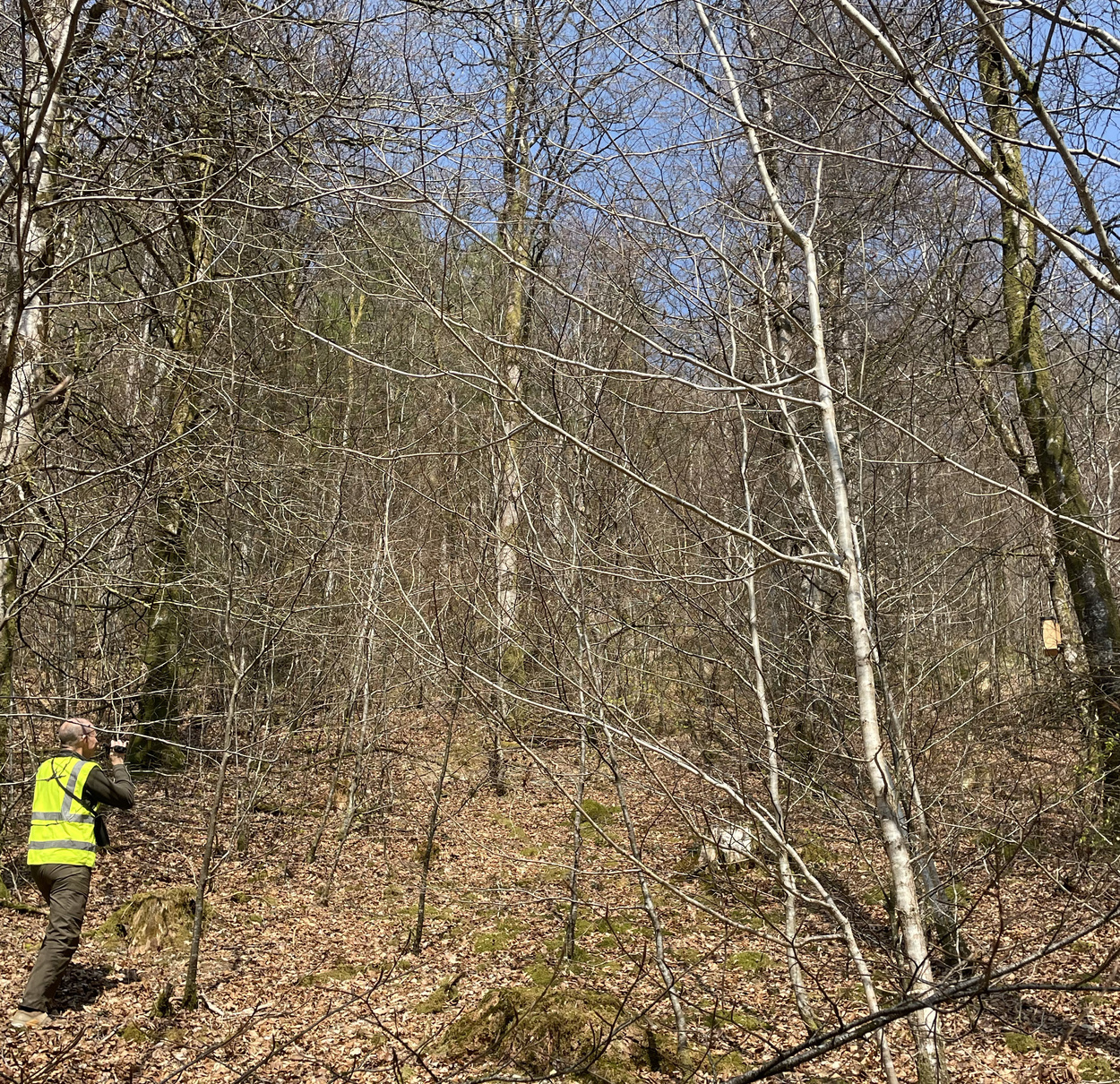 Den Box Vincent Wildlife Trust | VWT staff and volunteers check…